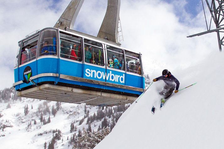 Snowbird tram and skier